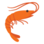 🦐 🦐