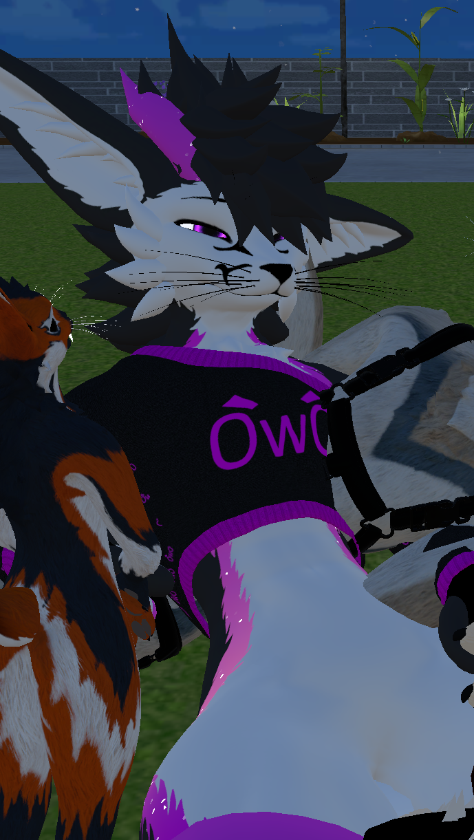 VRChat_2024-01-04_02-55-11.054_2560x1440.png