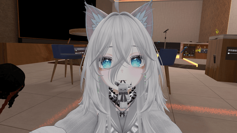 8486d5b0-e7a7-4e9b-ad50-121ada188a22-VRChat_2025-01-29_05-36-20.046_3840x2160.png