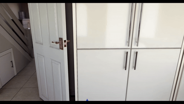 blueberry_gif1.gif
