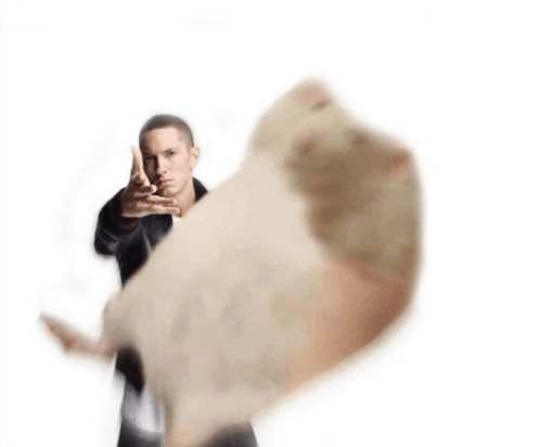 лови-кидаю.png