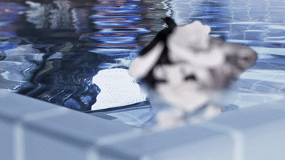 9bc6b5b9-4b4c-40ca-9f27-8829d3482f93-image.gif