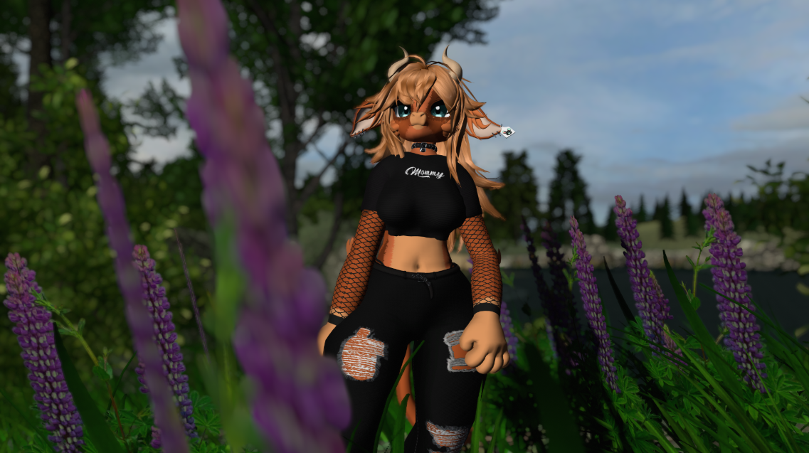 91a241ed-2a59-489c-969f-8073089292e5-image.png