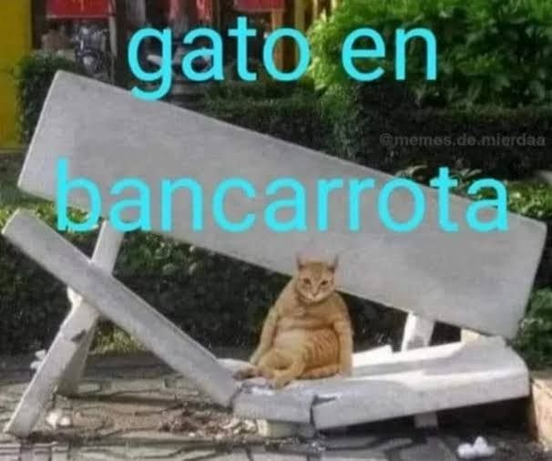[twitter] Usuario290029—2025.08.11—1954980620607668326—GyF8g8iWgAA2z0X.jpg