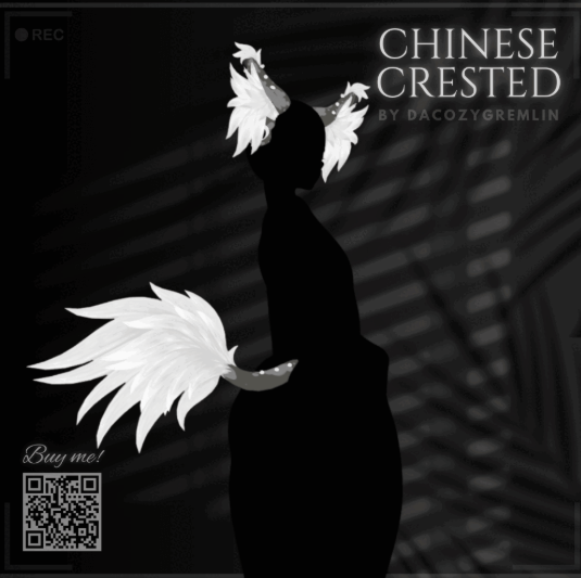 4b593062-e654-49f3-8ee9-446c4e06c0c7-image.png