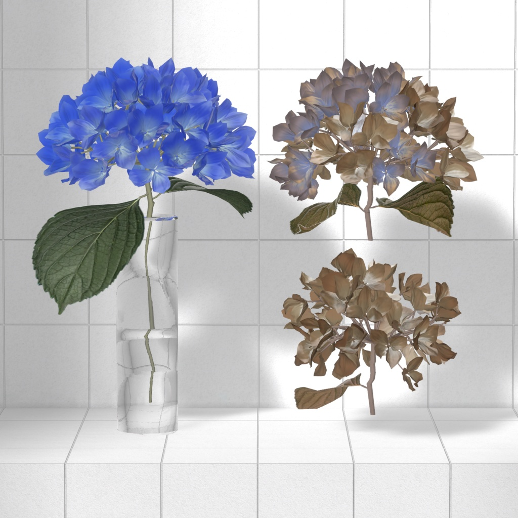 8d34c9c1-0214-4b20-b0c3-d59b834cb290-image.png