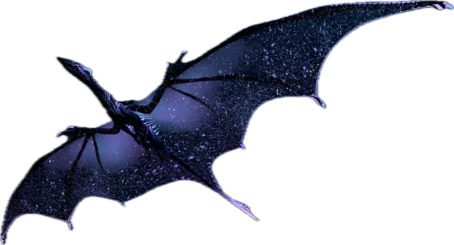 7007c95a-4a1d-4054-b415-1a74c352dd51-image.png
