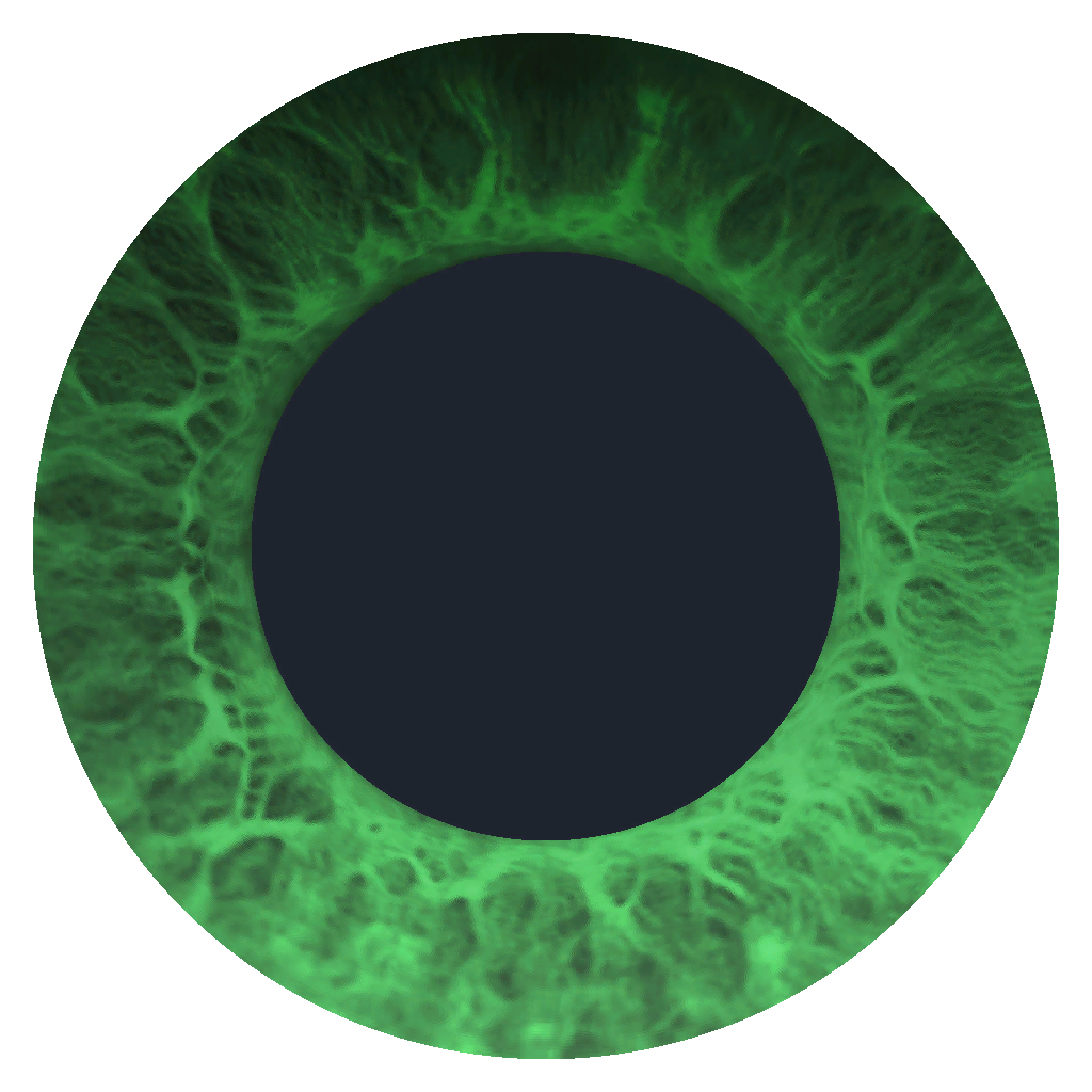 InnoKobEye_BaseColor.png