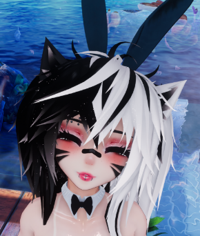 {C22DBAA5-B72D-4077-92DD-9F91500E3963}.png