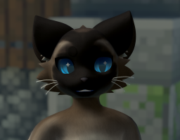 256.png