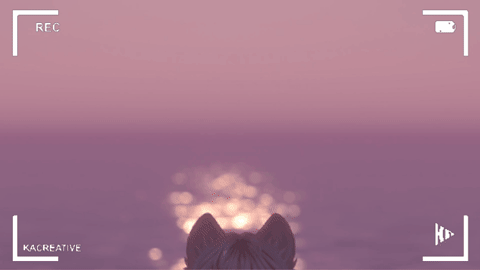 o_1ik3cun7r1etf1kpdebj16rdltt1d.gif