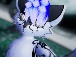 256.png