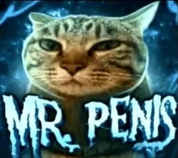 MR PENIS.jpg