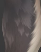 Screenshot 2025-12-29 042025.png