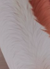 Screenshot 2025-12-29 042053.png