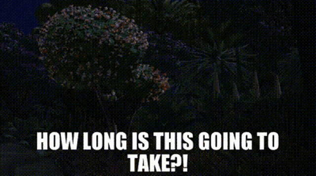 madagascar-king-julien.gif