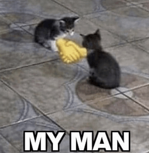 my-man-agree.png