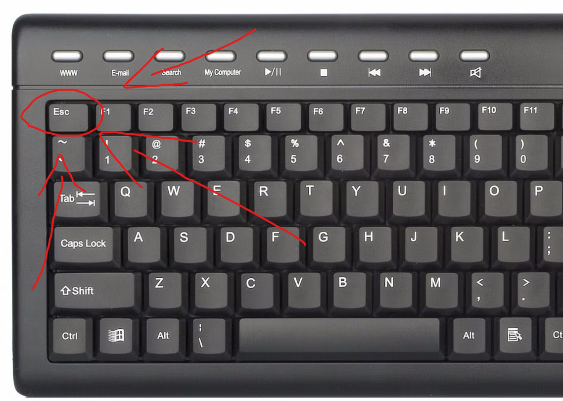 345trsegfdxc.png