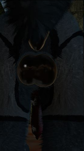 e50e3d38-daab-4c7d-bad1-dd36a060999a-image.png