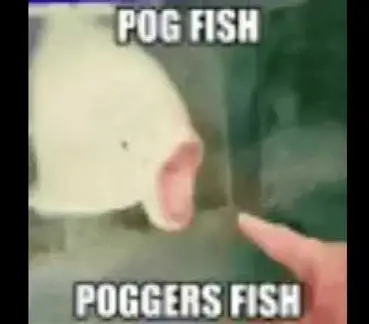 9da990ca-1e53-49cd-be7d-863620e2aaa6-image.png