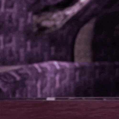 sonic-the-hedgehog-shadow-the-hedgehog.gif
