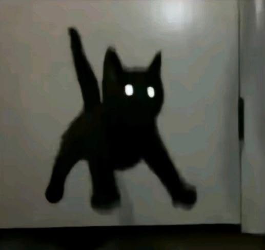 КОТЯ_3.jpeg