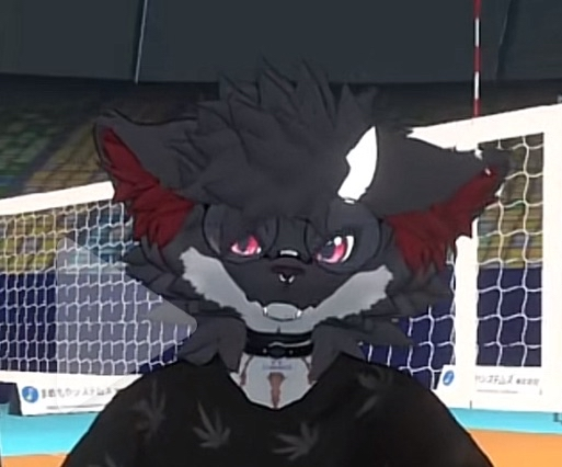 NOva.png