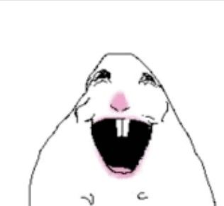 1a1e87eb-174c-4f53-b1d3-1b6de6ee0df6-image.jpeg