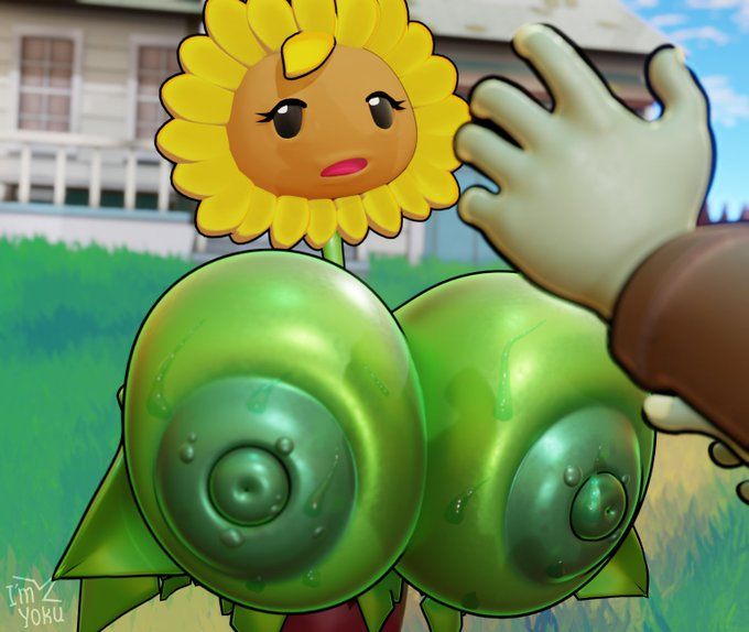 sunflower222.jpg