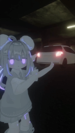 Video Project 1.gif