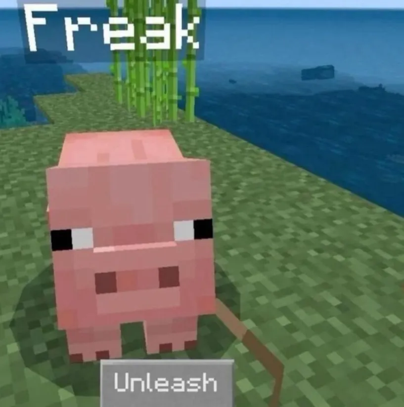 98692ef2-5ffa-4a41-b060-9a2c8e72a34f-image.png