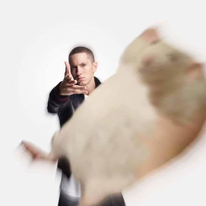 eminem-throwing-various-objects-at-you-v0-chcw2haxwnbc1.jpg