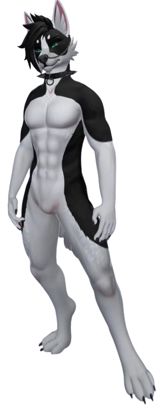 dbh.png