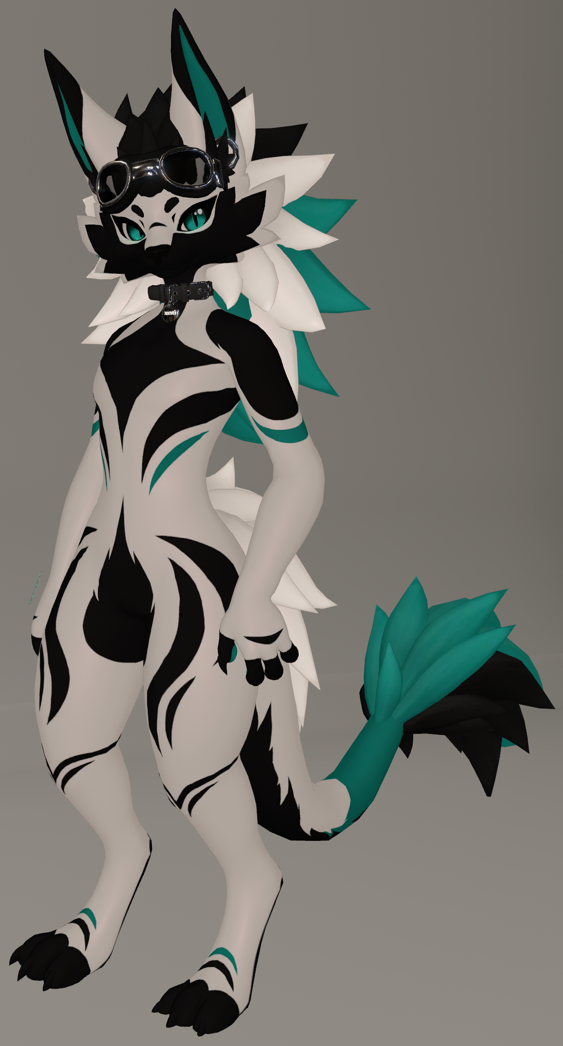 net.png