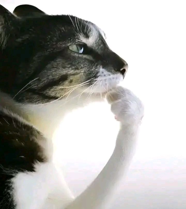 1000171507.jpg