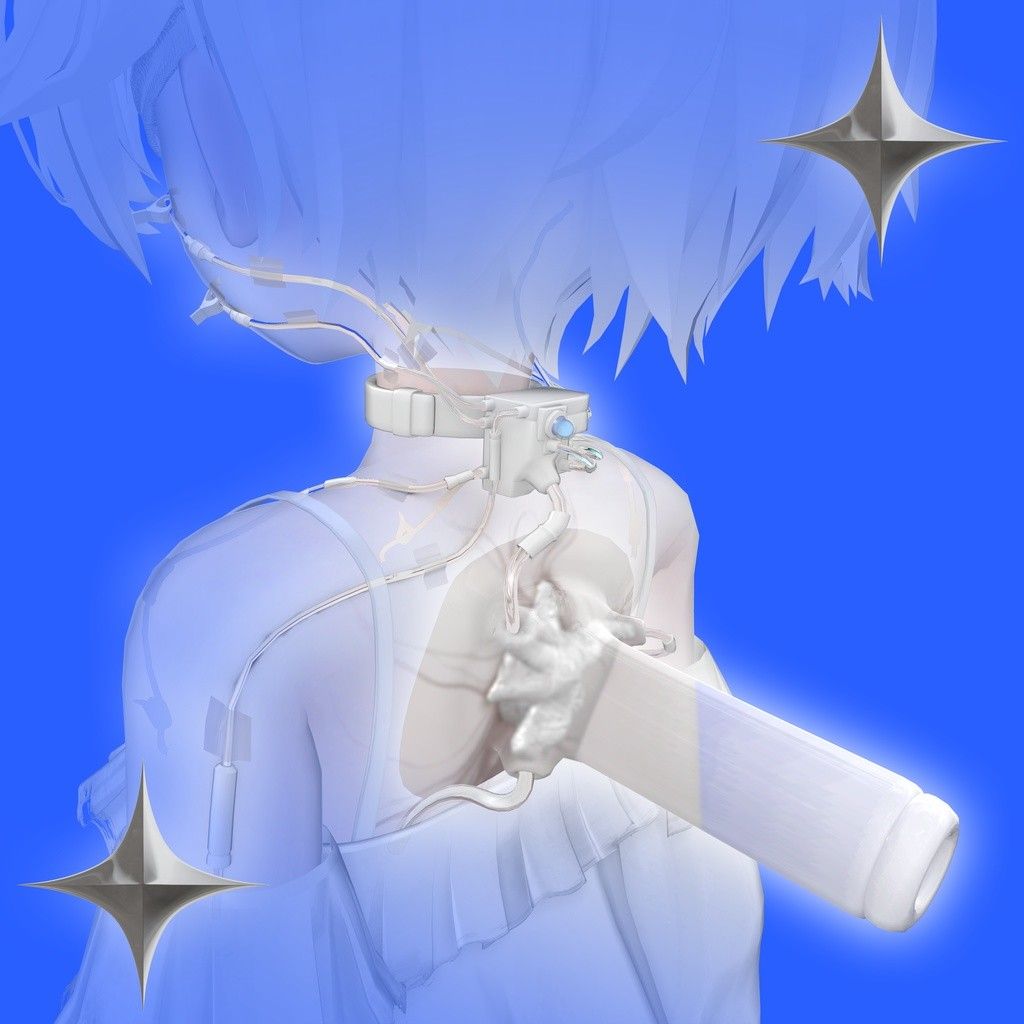 644d4414-dd53-421b-acfe-899f63a88fb5-image.jpeg