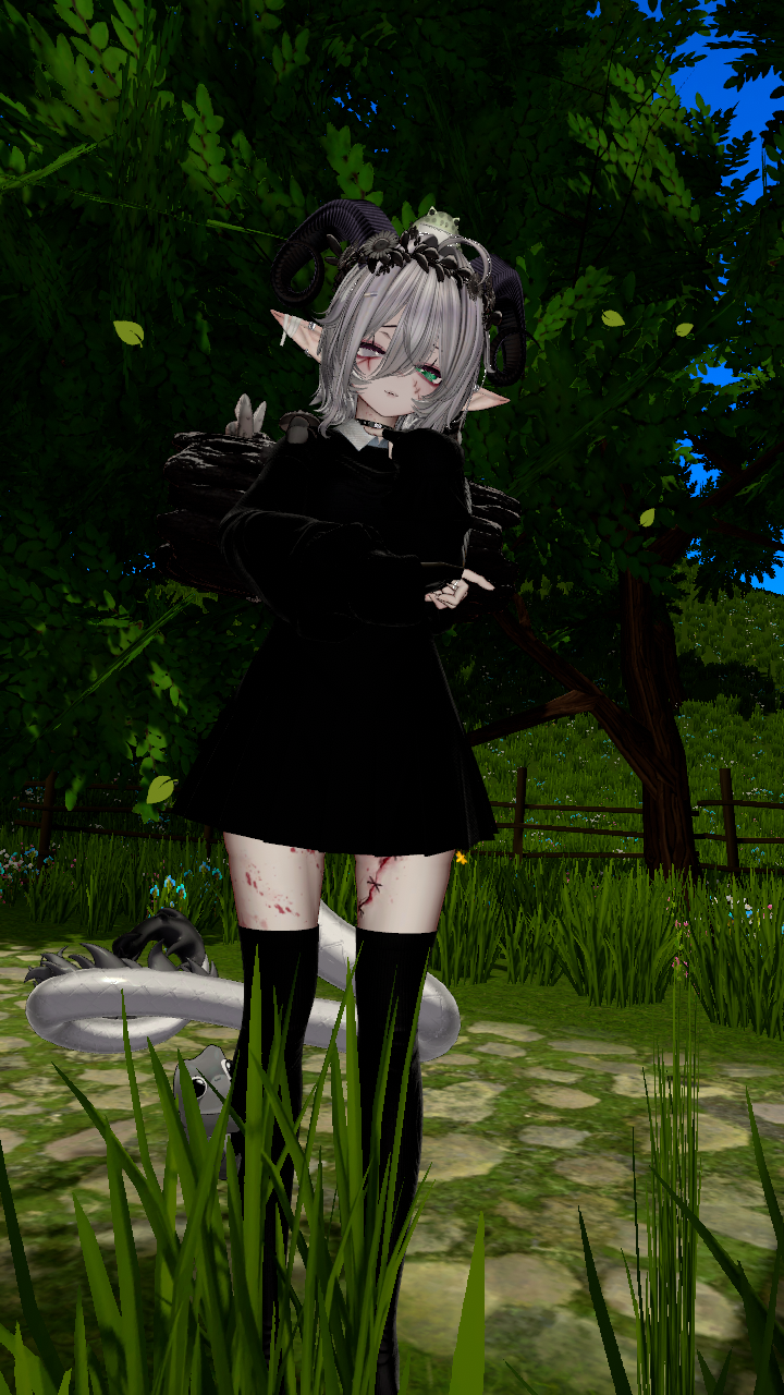 5c1.png
