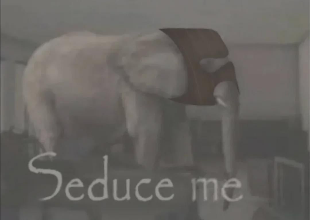 1420.jpg