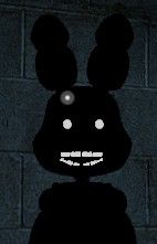 26fab98b-9d7d-4bc9-b75b-2bd8491b9cc3-image.jpeg