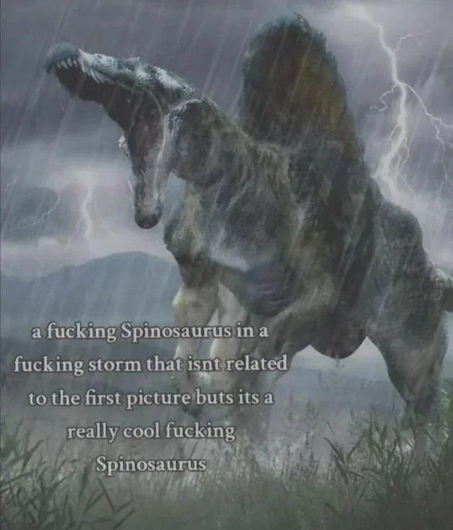 670b56fd-3644-4bd8-8080-ce7d47147d65-image.jpeg