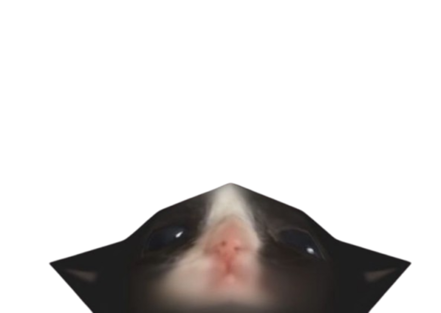 download (2).png