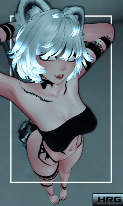 awfwawfs.PNG