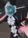 Capture.PNG