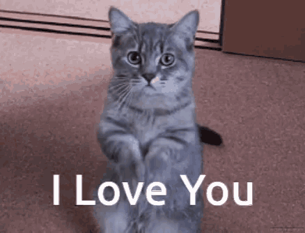 eef08770be5db0b5775d8d3b590e44a0.gif