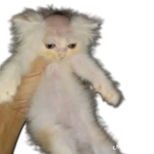 55742efd5e7216b4312da93fbc5a89de-removebg-preview.png