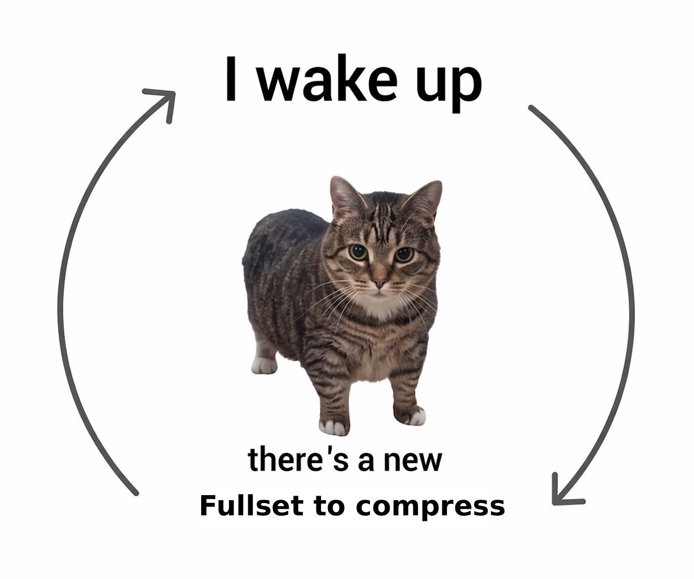 HO5GWh3WoAAnTfP.jpg