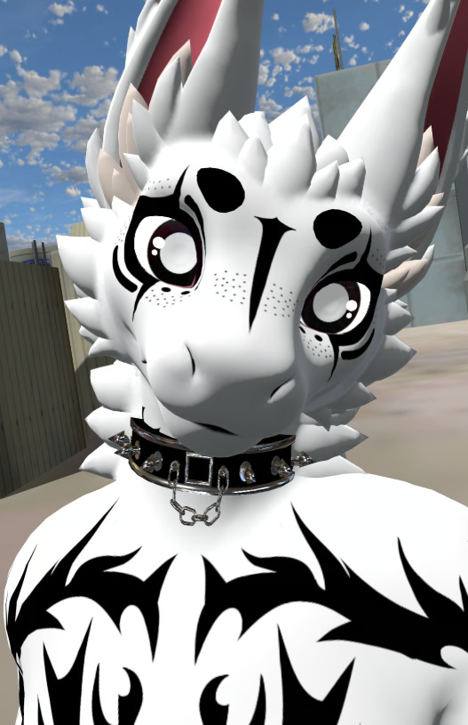 Screenshot 2026-08-10 114312.png