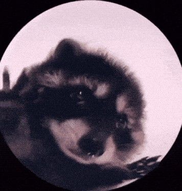 63dc1df5-ff24-49da-99d0-ca81aea469f9-image.jpeg