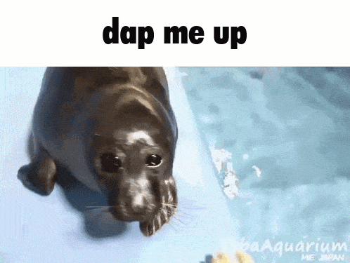 a-picture-of-a-seal-that-says-dap-me-up-on-it-kkptfu38u6zhtw2m (1).gif