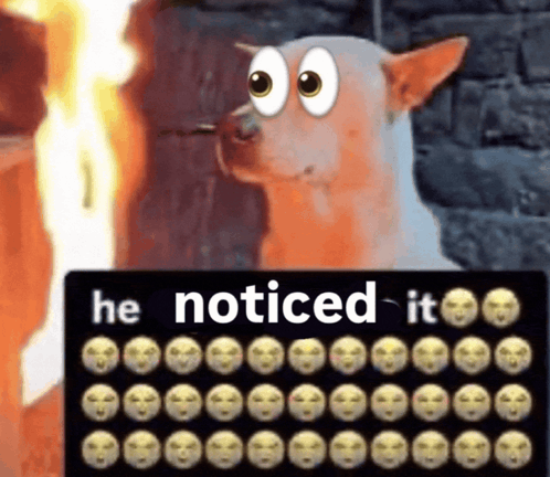he-noticed-it-dog.png